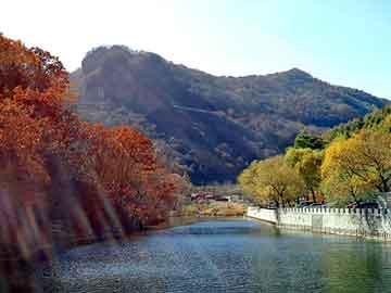 新澳天天开奖资料大全旅游团，风痛康膜